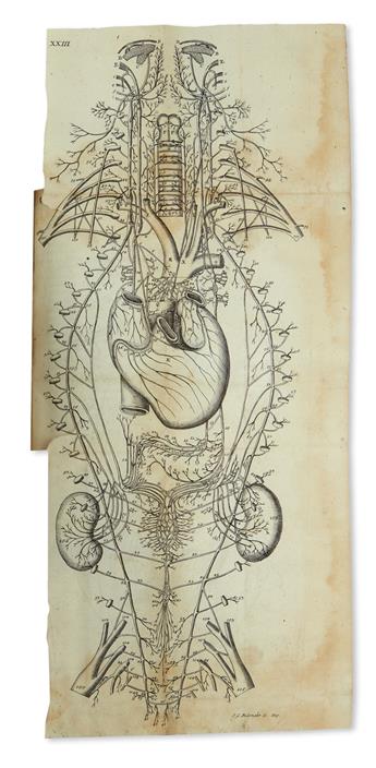MEDICINE  VIEUSSENS, RAYMOND.  Neurographia universalis . . . Editio in Germania prima.  1690